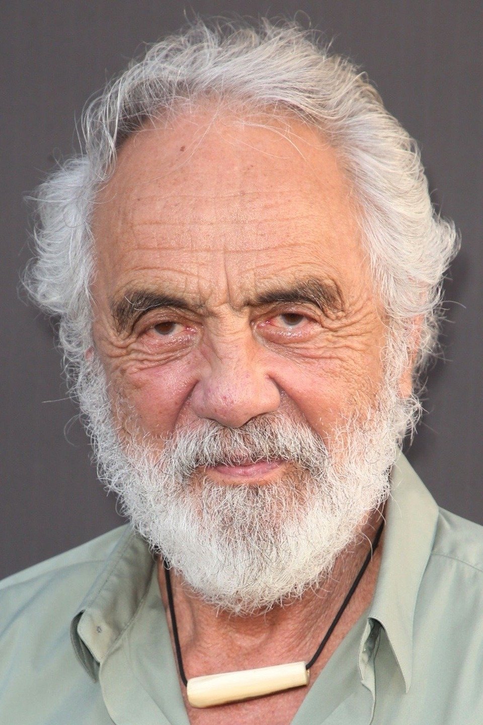 Tommy Chong - Yax (voice)