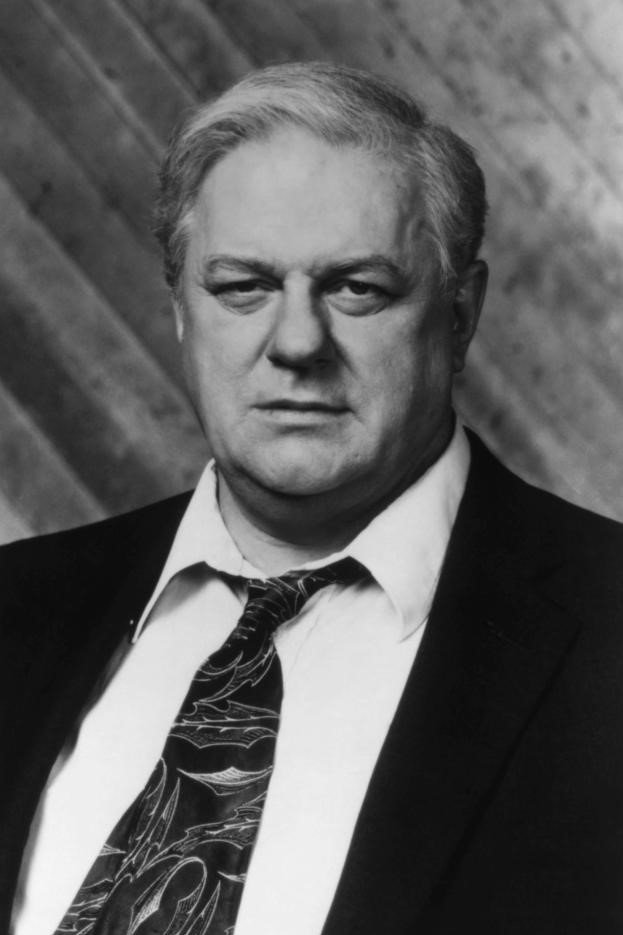 Charles Durning - Immigration Officer (voice) (uncredited)