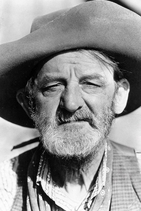 Si Jenks - Whiskers