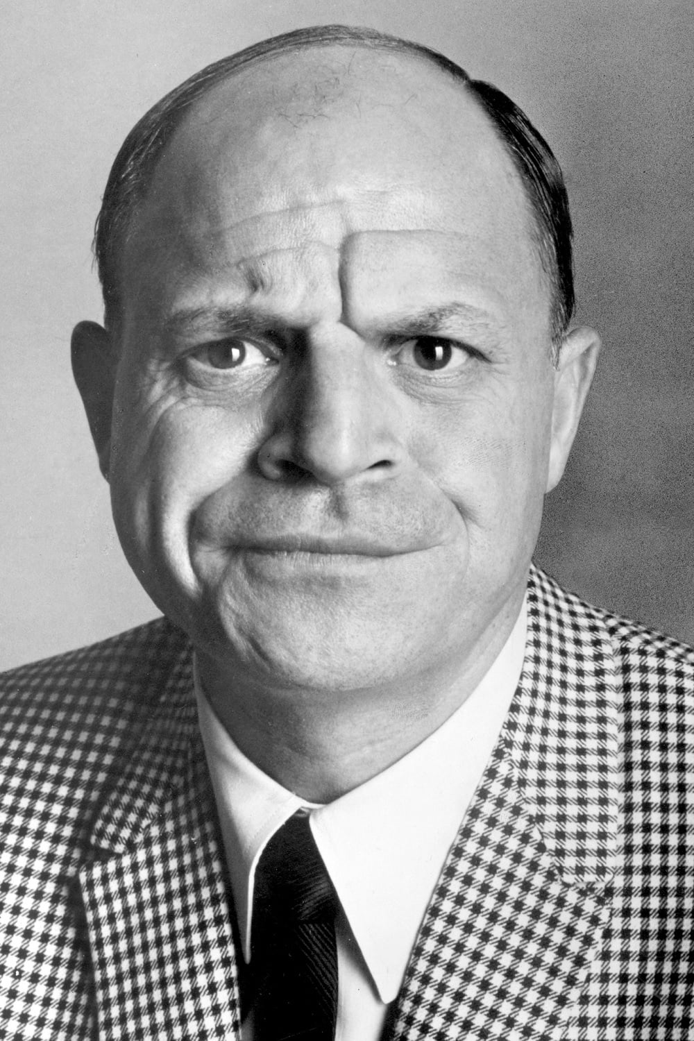 Don Rickles - Mr. Potato Head (voice)