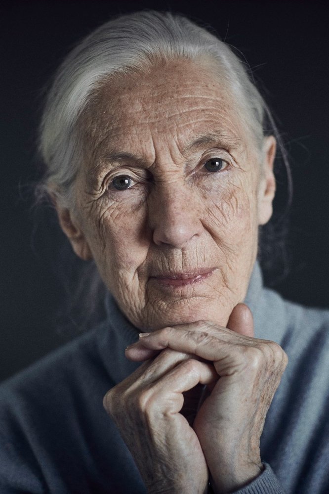 Jane Goodall - Self
