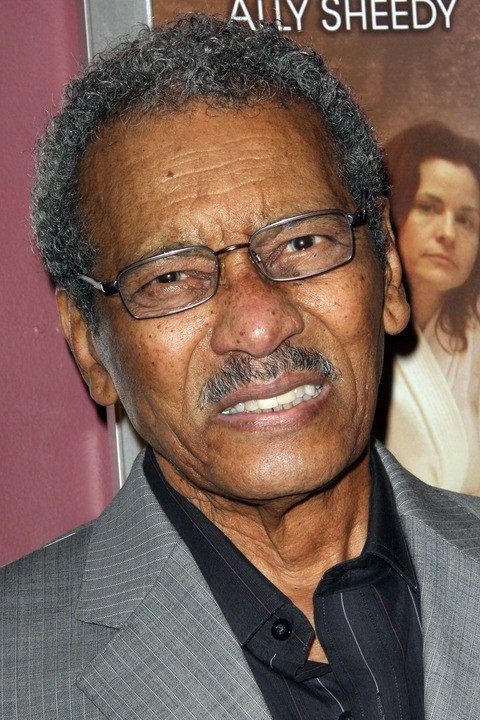 Dick Anthony Williams - Limo Driver