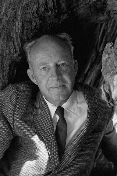Willard Van Dyke - Self (archive footage)