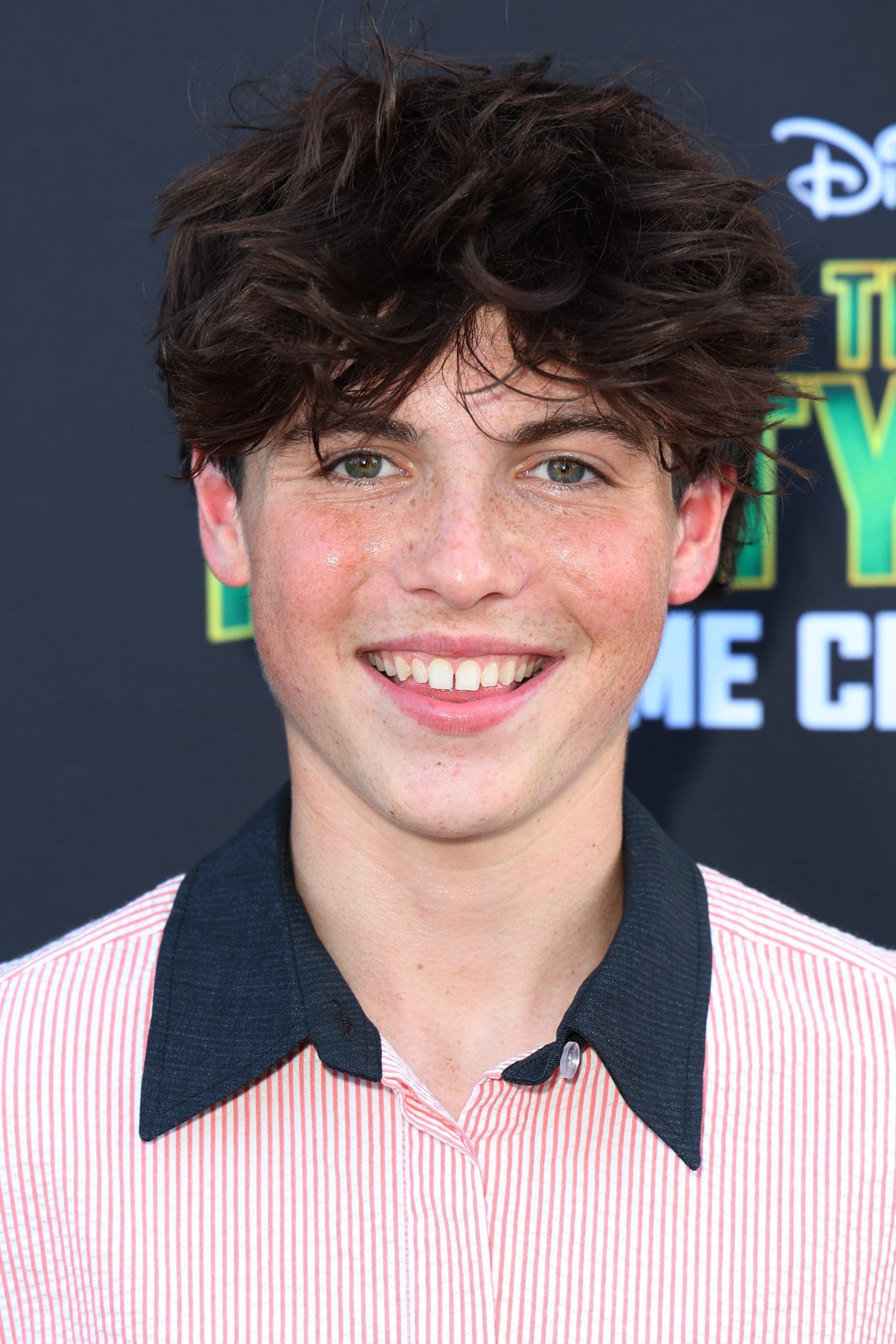 Brady Noon - Greg Heffley (voice)