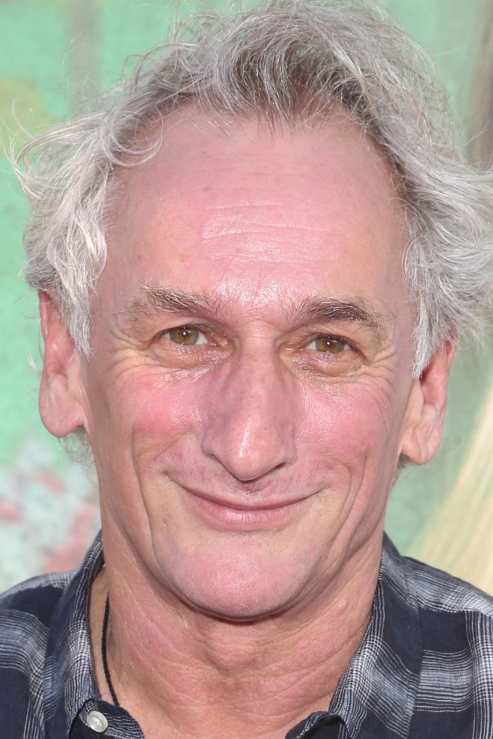 Matt Craven - Lt. Roy Zimmer