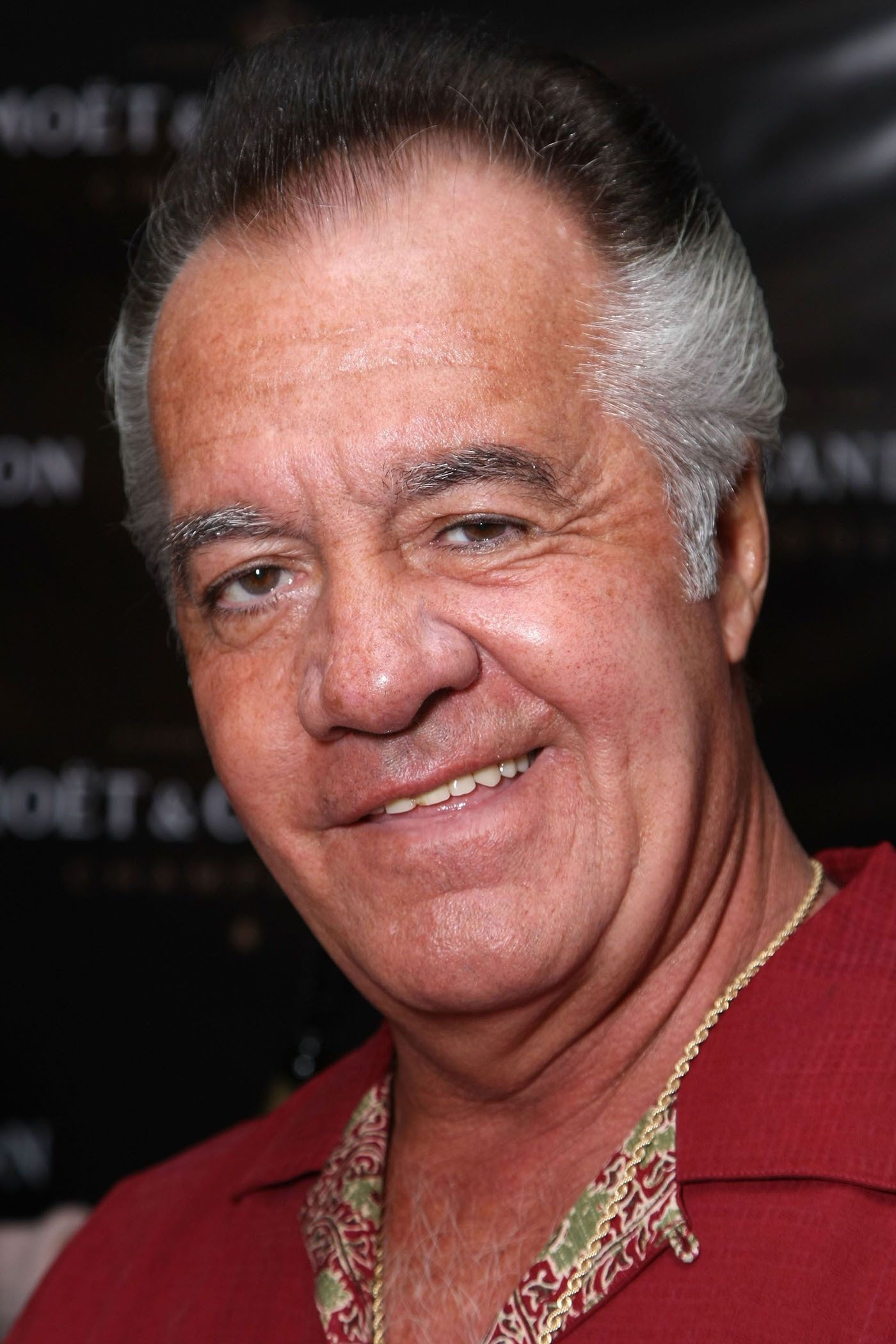 Tony Sirico - Tony Stacks