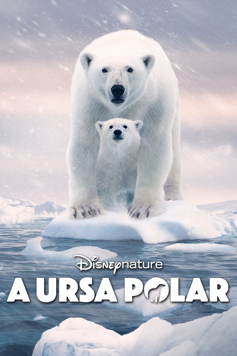  Polar Bear - Watch Suggestor