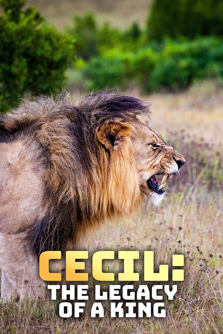  Cecil: The Legacy of a King - Watch Suggestor