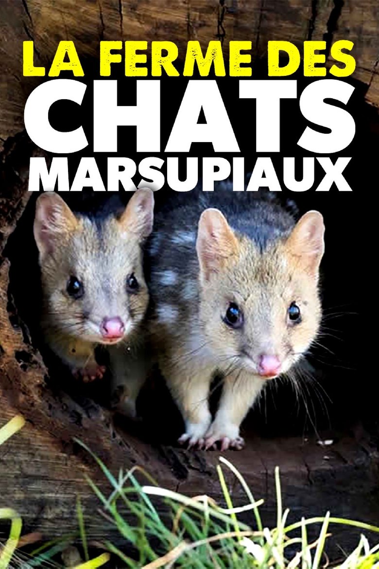  Quoll Farm - Watch Suggestor