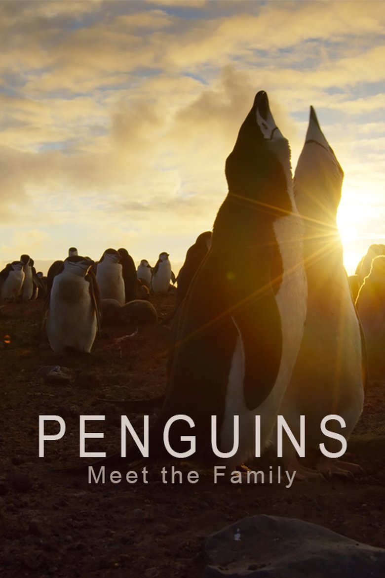  Penguins: Meet the Family - Watch Suggestor