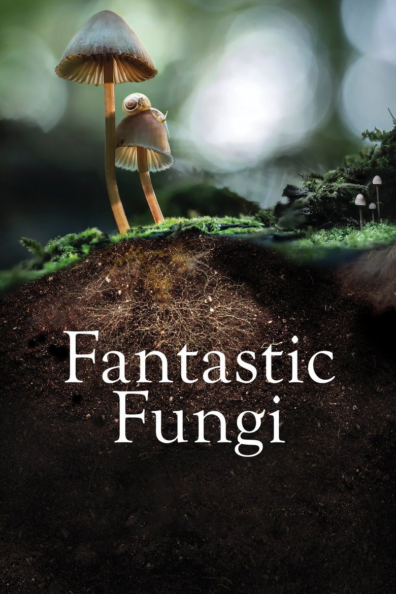  Fantastic Fungi - Watch Suggestor