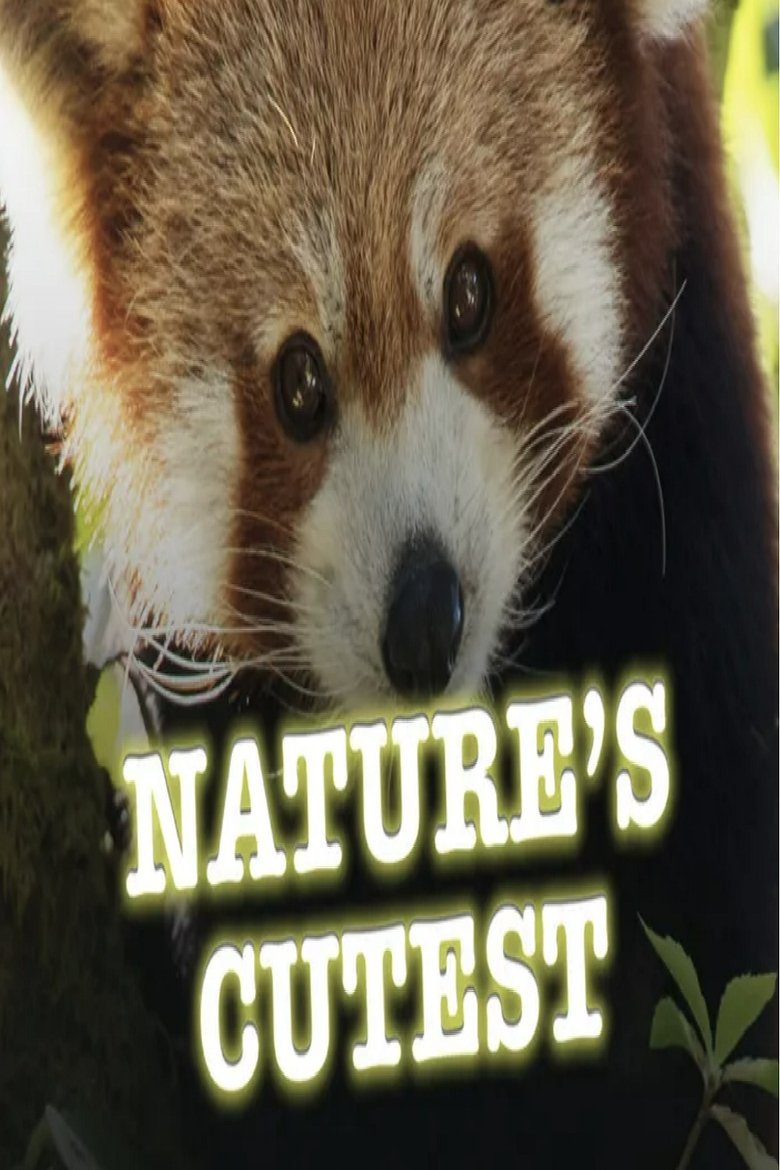  Nature's Cutest - Watch Suggestor