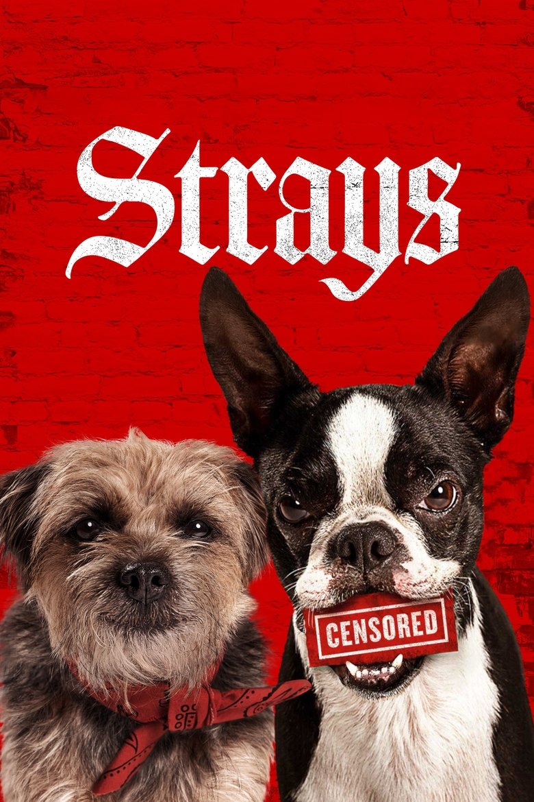  Strays - Watch Suggestor