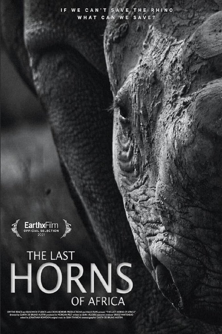  The Last Horns Of Africa - Watch Suggestor