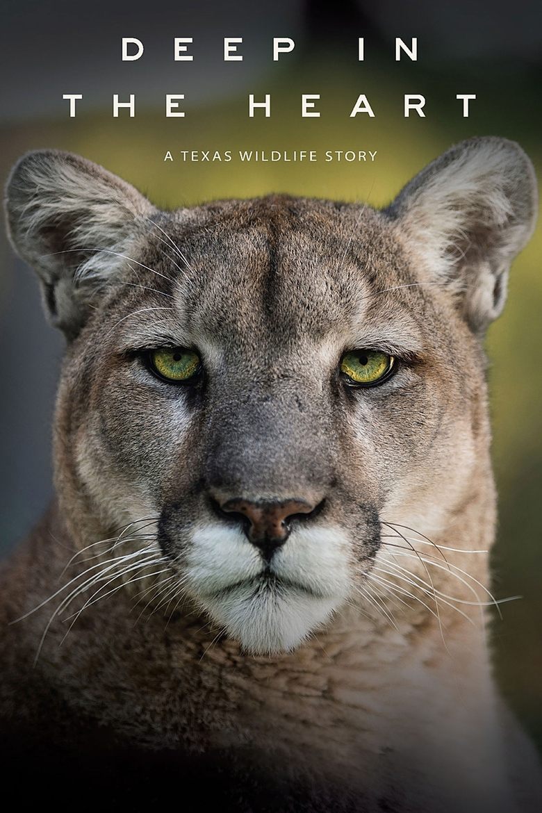  Deep in the Heart: A Texas Wildlife Story - Watch Suggestor