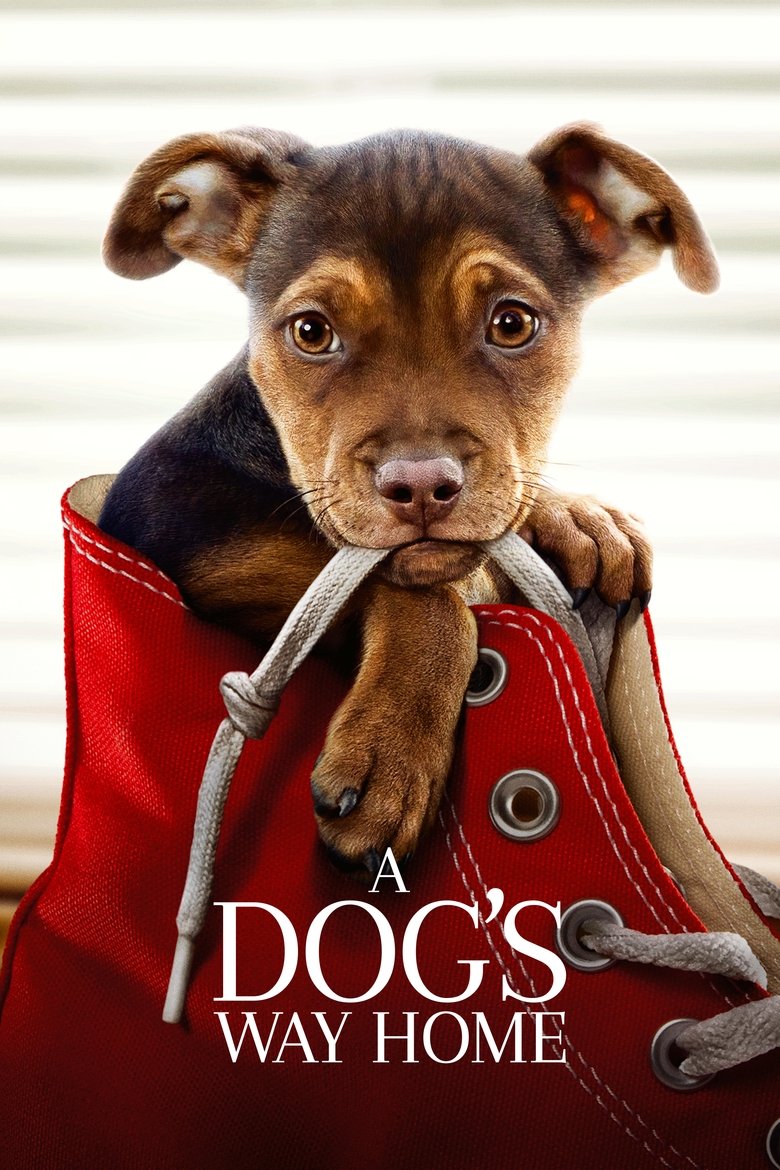  A Dog's Way Home - Watch Suggestor