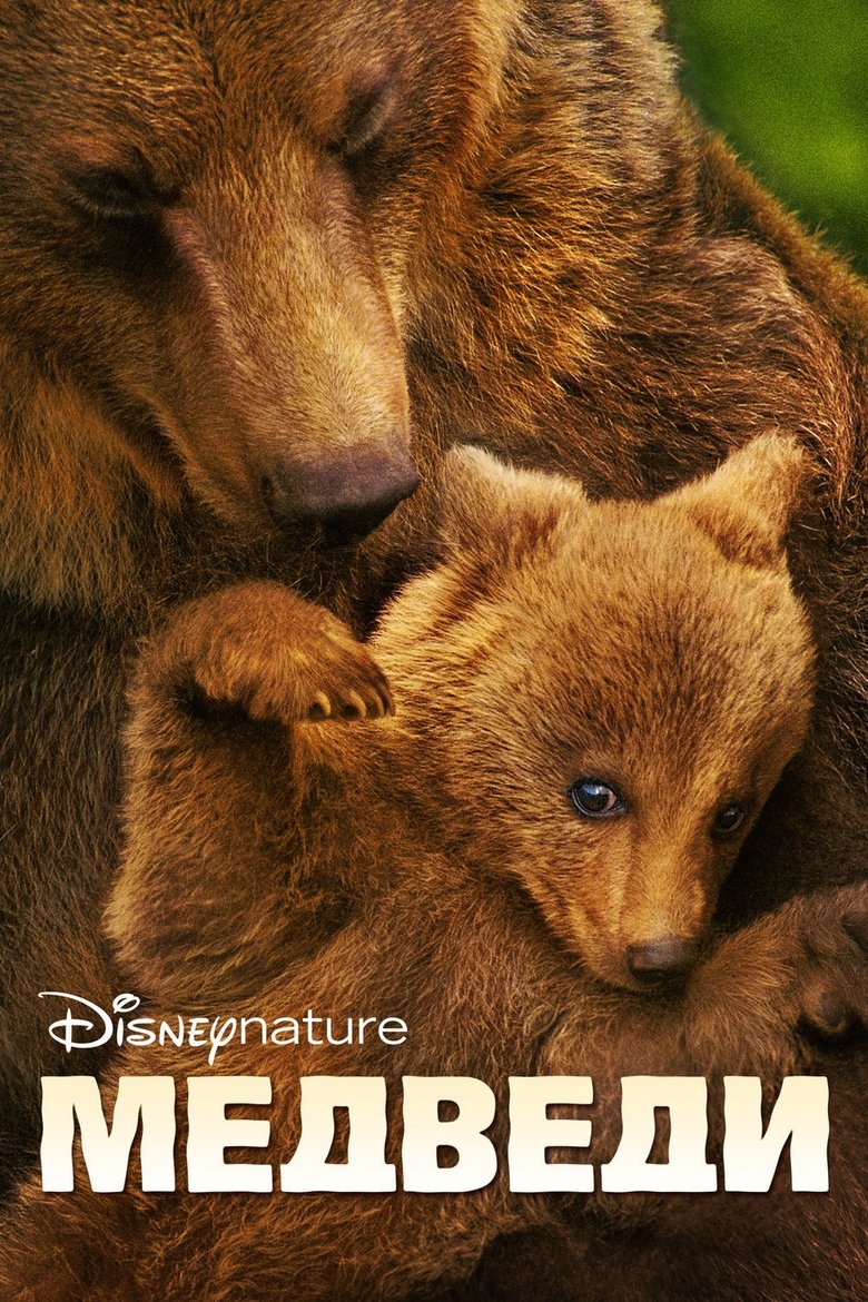  Bears - Watch Suggestor
