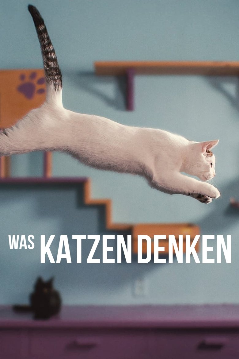  Inside the Mind of a Cat - Watch Suggestor